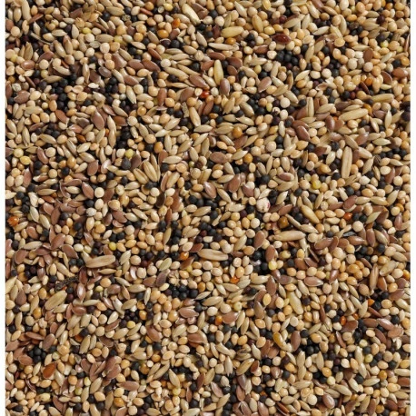 34 - Volière 20kg - Deli Nature 2 34 - Volière 20kg - Deli Nature - Image 2