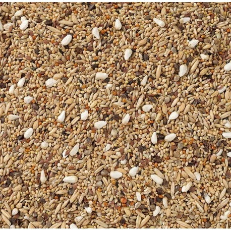 68 - Grandes Perruches Sans Tournesols 20kg - Deli Nature 2 68 - Grandes Perruches Sans Tournesols 20kg - Deli Nature - Image 2