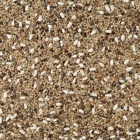 Deli Nature Agapornis Champion 20kg (72) 2 Deli Nature Agapornis Champion 20kg (72) - Image 2