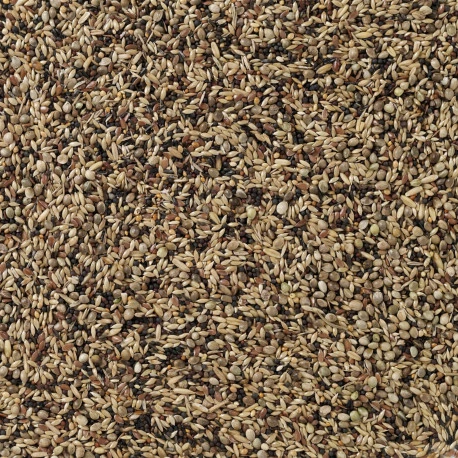 Deli Nature Oiseaux Indigènes 20kg (91) 2 Deli Nature Oiseaux Indigènes 20kg (91) - Image 2