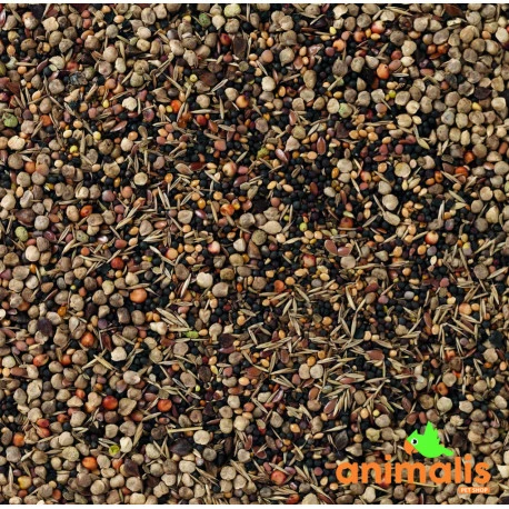 94 - Graines Sauvages 15kg - Deli Nature 2 94 - Graines Sauvages 15kg - Deli Nature - Image 2