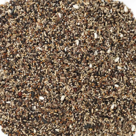 Bouvreuil 15kg (96) - Deli Nature 2 Bouvreuil 15kg (96) - Deli Nature - Image 2