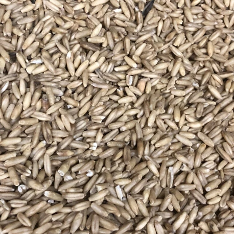 Avoine Pelée 25kg - Beyers 2 Avoine Pelée 25kg - Beyers - Image 2