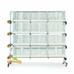 Domus Molinari Batterie D'élevage 12 Cages - 60x31x35cm