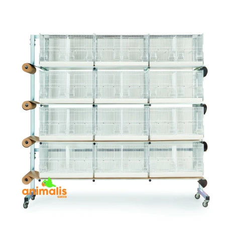 Domus Molinari Batterie D'élevage 12 Cages - 60x31x35cm 1 Domus Molinari Batterie D'élevage 12 Cages - 60x31x35cm