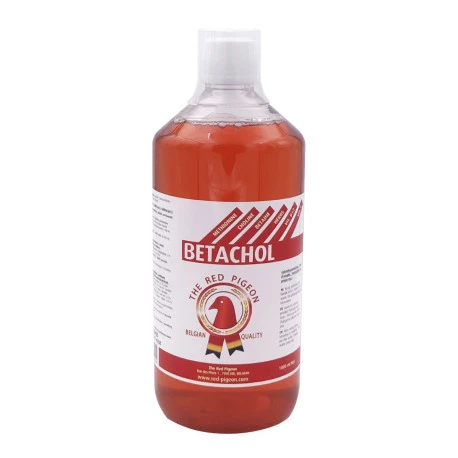 Red Pigeon Betachol 1 Litre 2 Red Pigeon Betachol 1 Litre - Image 2