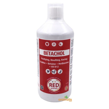 Red Pigeon Betachol 1 Litre 1 Red Pigeon Betachol 1 Litre