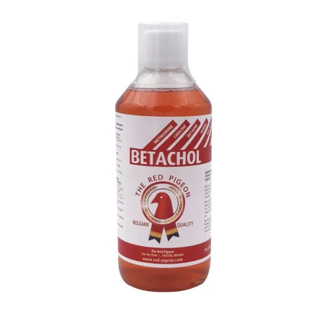 Red Pigeon Betachol 500 Ml 2 Red Pigeon Betachol 500 Ml - Image 2