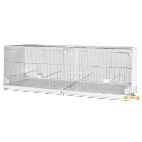 2GR Cage D'élevage Pliable "Sestriere" 120x40x40 Cm 1 2GR Cage D'élevage Pliable "Sestriere" 120x40x40 Cm