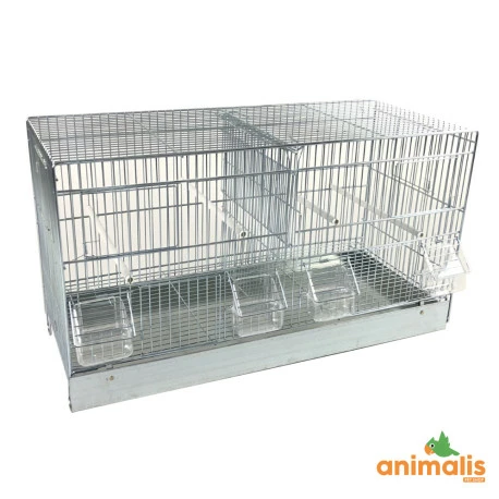 Domus Molinari Cage Domus-Molinari 64cm Chromée 1 Domus Molinari Cage Domus-Molinari 64cm Chromée