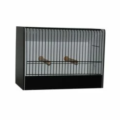 Ost Cage D'exposition Caille Et Euphèmes En PVC