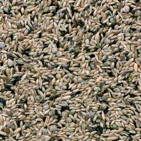 Canaris De Posture Duvo 20Kg 2 Canaris De Posture Duvo 20Kg - Image 2