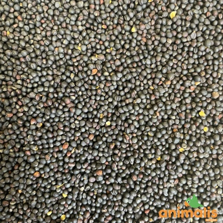 Animalis Colza 20kg 1 Animalis Colza 20kg