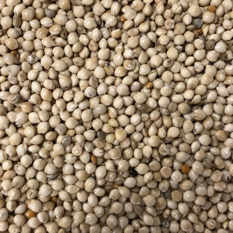 Germix Exotique 4kg 2 Germix Exotique 4kg - Image 2