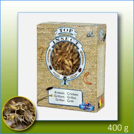 Topinsect Grillons Congelés 400g - Top Insect 1 Topinsect Grillons Congelés 400g - Top Insect