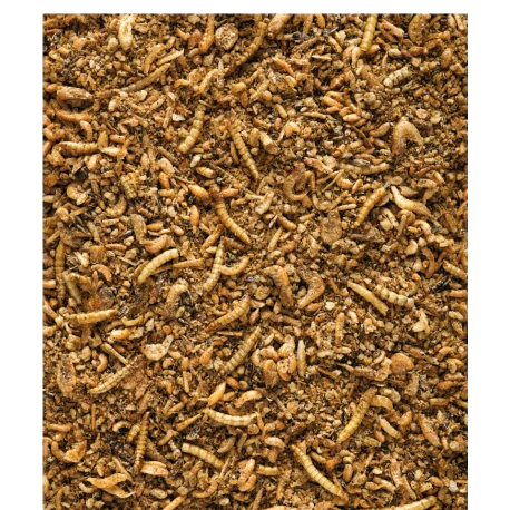 VERSELE-LAGA Insect Patee Premium 500g - Aliment Complet Pour Tous Les Insectivores 2 VERSELE-LAGA Insect Patee Premium 500g - Aliment Complet Pour Tous Les Insectivores - Image 2