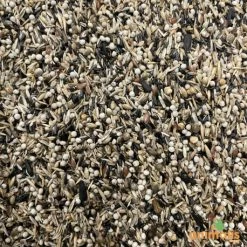 Hobby Farm Mélange De Graines Pour Tarins Américains Et Européens 15kg - Hoebre -Oiseaux boutique melange de graines pour tarins americains et europeens 15kg 2