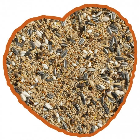 Grandes Perruches Duvo 20 Kg 2 Grandes Perruches Duvo 20 Kg - Image 2