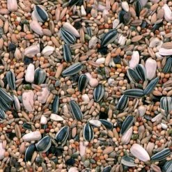 Grandes Perruches Duvo 20 Kg 7 Grandes Perruches Duvo 20 Kg -Oiseaux boutique melange pour grandes perruches 20 kg duvo 3