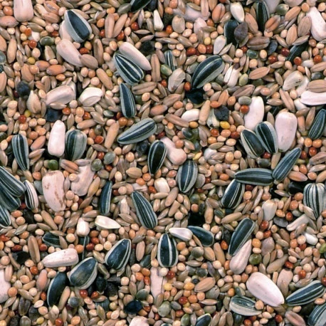 Grandes Perruches Duvo 20 Kg 4 Grandes Perruches Duvo 20 Kg - Image 4