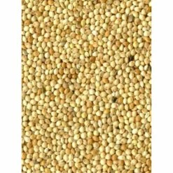 Millet Blanc 20kg