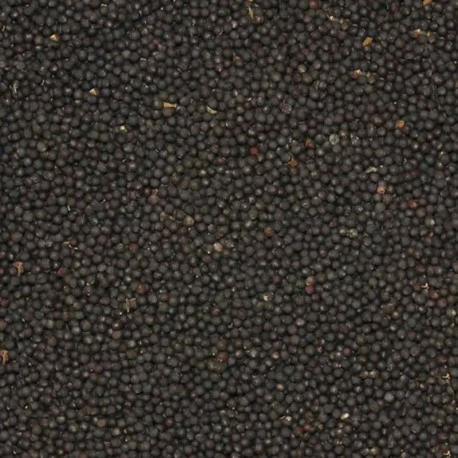 Animalis Navette 20kg 1 Animalis Navette 20kg