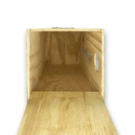 Nido Nichoir Vertical Pour Grandes Perruches 25x25x55 Cm 4 Nido Nichoir Vertical Pour Grandes Perruches 25x25x55 Cm - Image 4