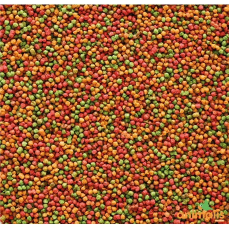 VERSELE-LAGA Nutribird B18 3kg 2 VERSELE-LAGA Nutribird B18 3kg - Image 2