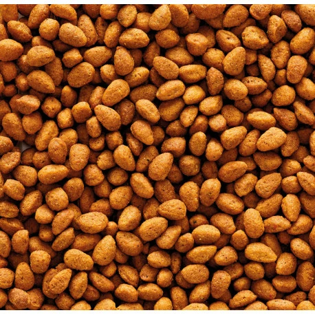 VERSELE-LAGA Nutribird G14 Original 10kg 2 VERSELE-LAGA Nutribird G14 Original 10kg - Image 2