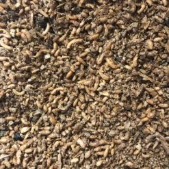 Duvo Pâtée Insectivore Avec 60% D'insectes 1kg