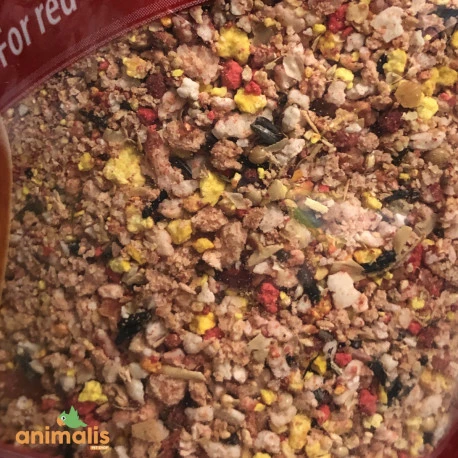 Pâtée Quiko Rouge 5kg + 1kg Gratuit 2 Pâtée Quiko Rouge 5kg + 1kg Gratuit - Image 2