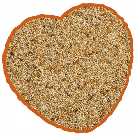 Petites Perruches Duvo 20Kg 2 Petites Perruches Duvo 20Kg - Image 2