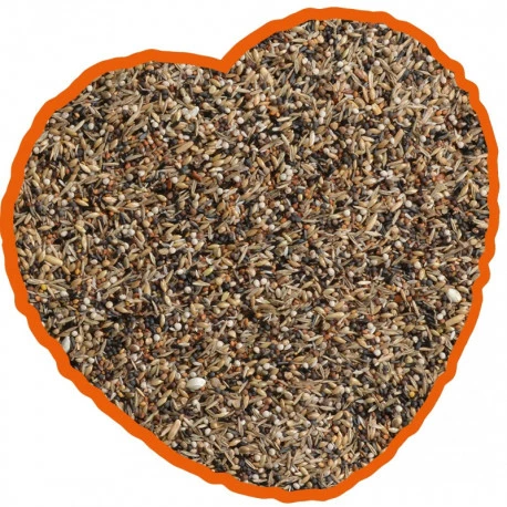 Duvo Tarins Et Chardonneret Spécial 15kg 2 Duvo Tarins Et Chardonneret Spécial 15kg - Image 2