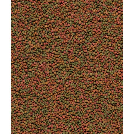 VERSELE-LAGA UNI Komplet 3kg 2 VERSELE-LAGA UNI Komplet 3kg - Image 2