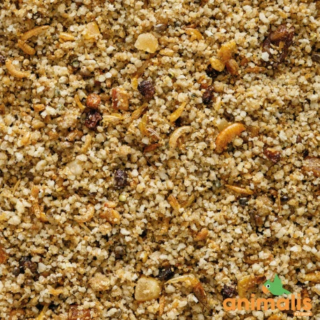 VERSELE-LAGA Uni Pâtée 5kg - Aliment Complet Pour Les Petits Frugivores Et Insectivores 2 VERSELE-LAGA Uni Pâtée 5kg - Aliment Complet Pour Les Petits Frugivores Et Insectivores - Image 2